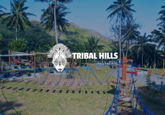 web-design-tribal-hills