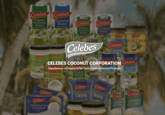 web-portfolio-celebes