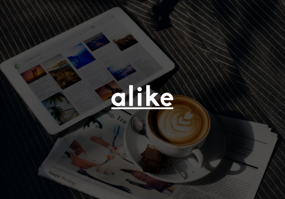 Alike Top SEO Portfolio